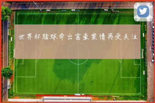 世界杯赌球牵出富豪案情再受关注