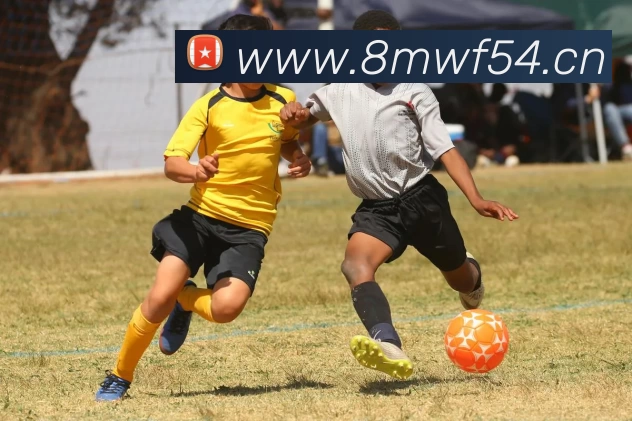 「Kaiyun·中国大陆」 - 官方网站服务体系